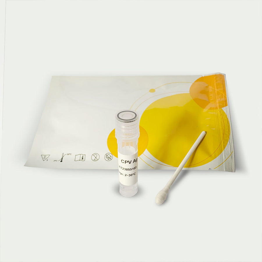 Koiran parvovirus A (CPV)