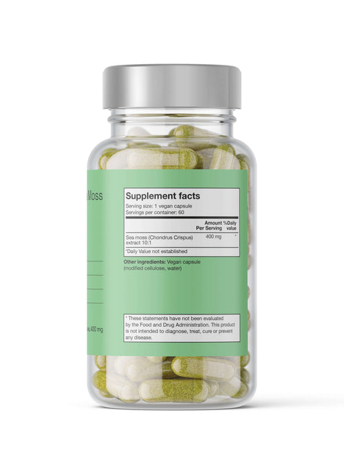 Irish Sea Moss / Karragenalg Noop