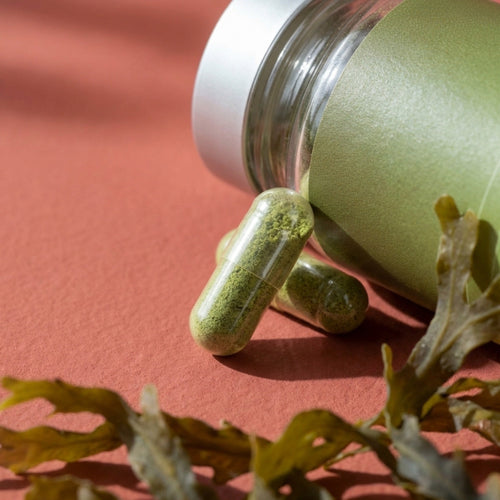 Irish moss, Bladderwrack & Burdock Root Noop