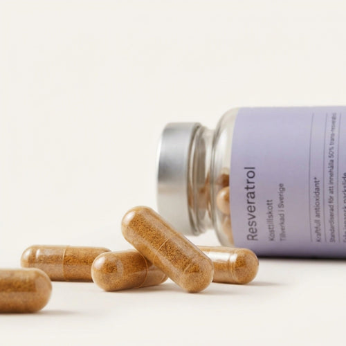 Resveratrol 500 mg 60 kapslar Noop